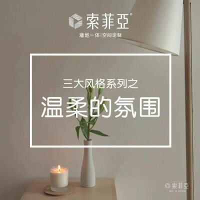 索菲亚墙板-温柔氛围